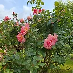 Fewo Freiraum Mit Grosser Terrasse * Friedrichskoog