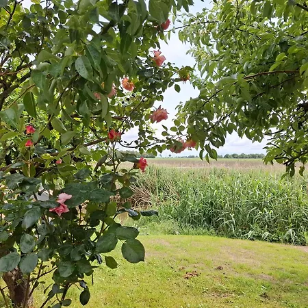Apartmán Fewo Freiraum Mit Grosser Terrasse Friedrichskoog