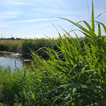 Freiraum * Friedrichskoog