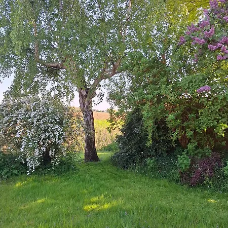 Freiraum Mit Grosser Terrasse Lejlighed Friedrichskoog