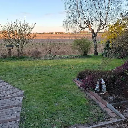 Freiraum Mit Grosser Terrasse *