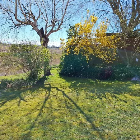 Appartement Freiraum Mit Grosser Terrasse Friedrichskoog