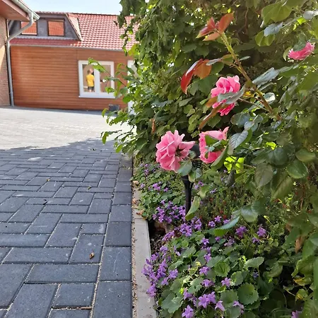 Freiraum Mit Grosser Terrasse Lejlighed