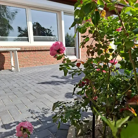 Freiraum Mit Grosser Terrasse Lejlighed *
