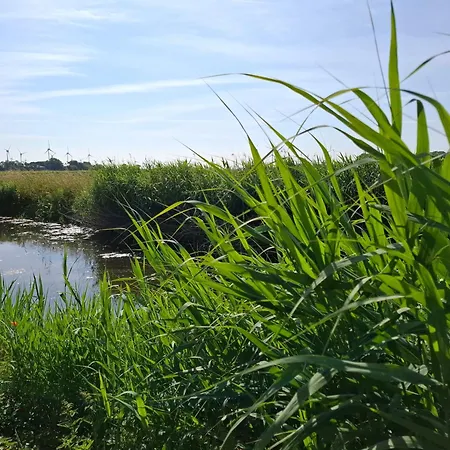 Freiraum Mit Grosser Terrasse Friedrichskoog
