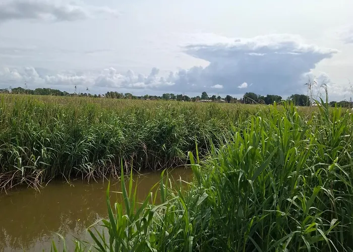 5 Sterne Freiraum 130qm Lejlighed Friedrichskoog